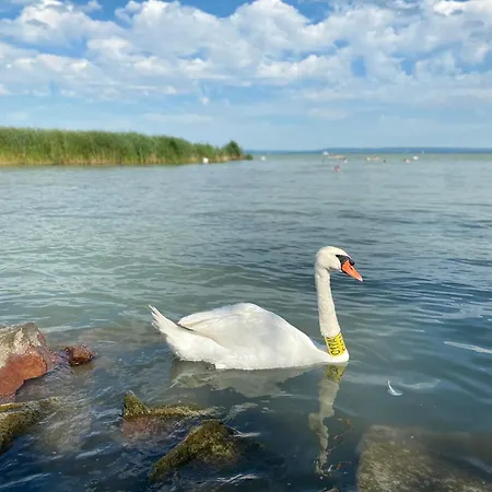 Case de vacanță Panna *